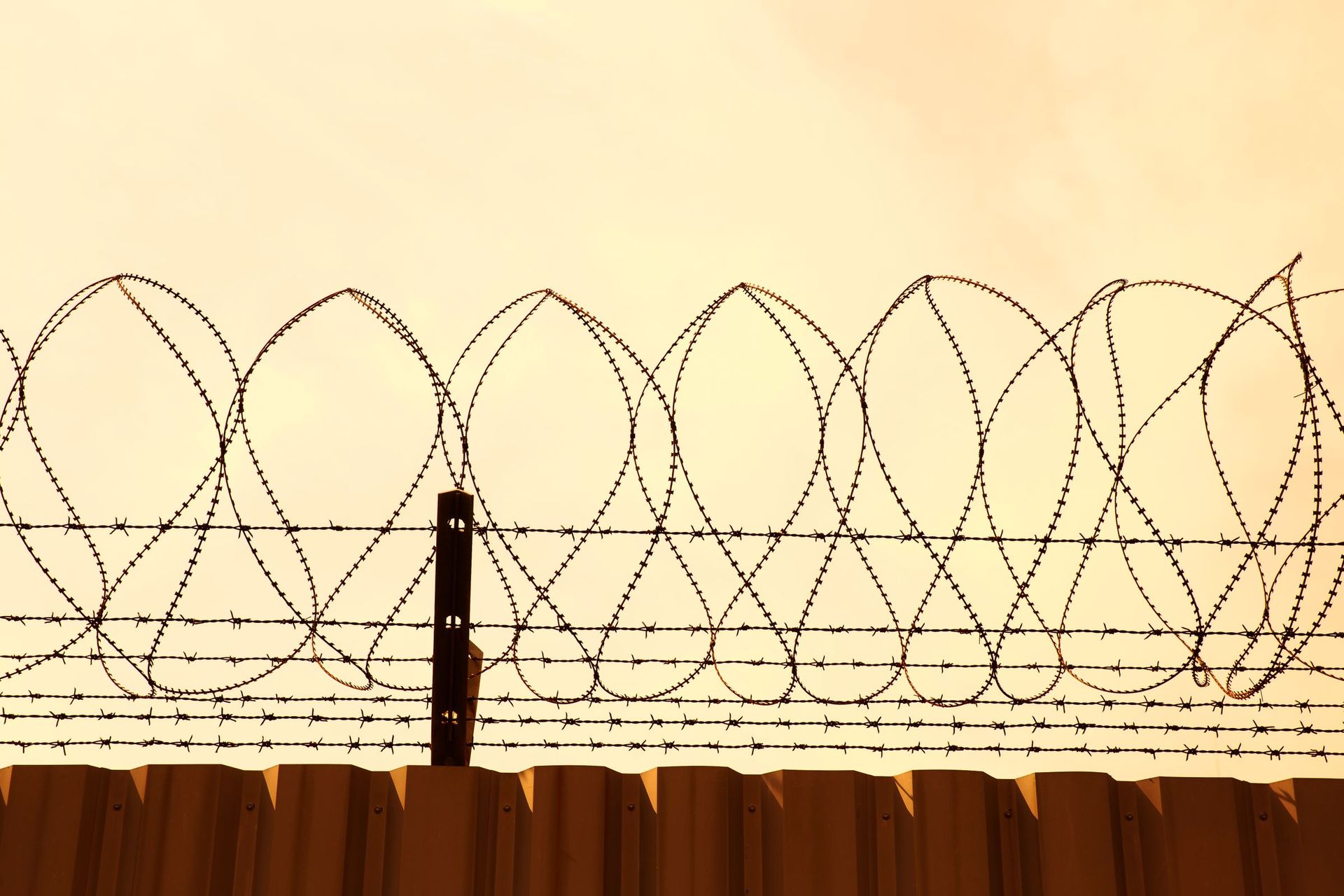 Barbed-wire fence silhouetted against a warm sunset sky